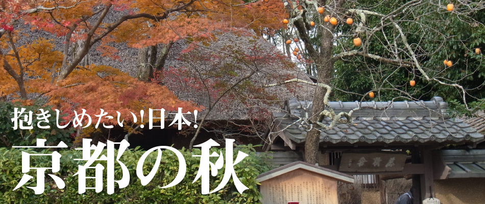 京都の秋　紅葉スポット地図