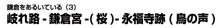 鎌倉をあるいている