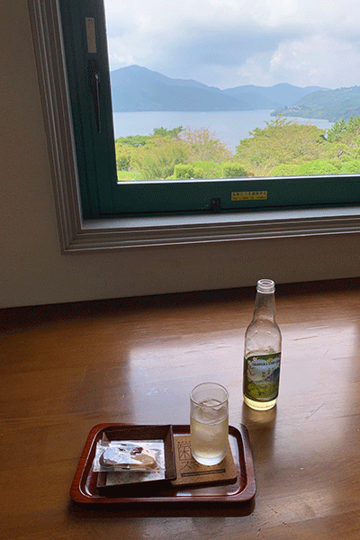 箱根離宮跡展望館から見る芦ノ湖