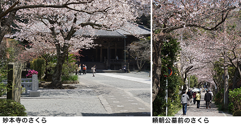 初日の出