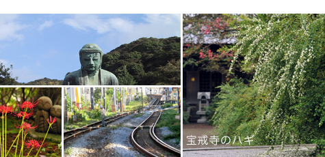 初秋の鎌倉