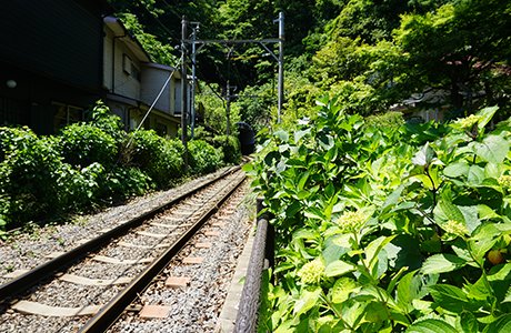 御霊神社前を通る江ノ電