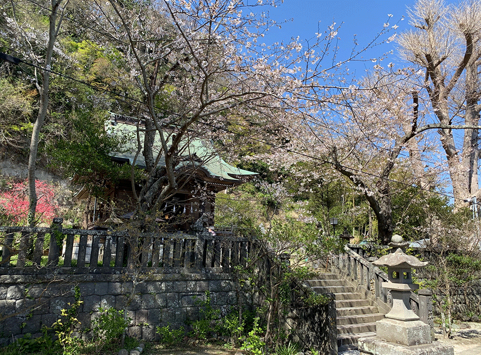 20210324御霊神社の桜