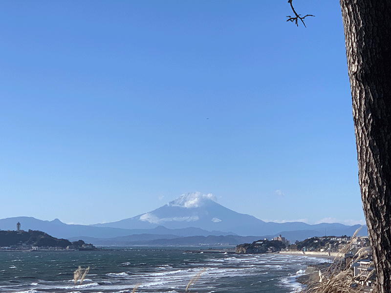 20221214稲村ケ崎から見る富士山