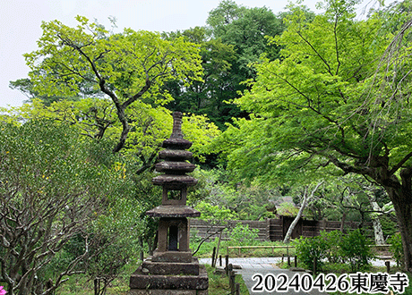 20240426東慶寺