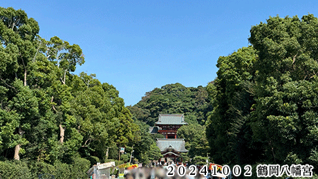 ２０２４１００２鶴岡八幡宮