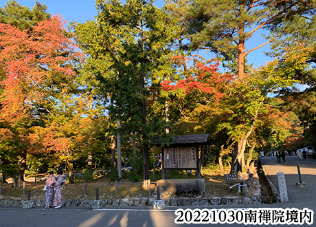 東山の風にふかれて