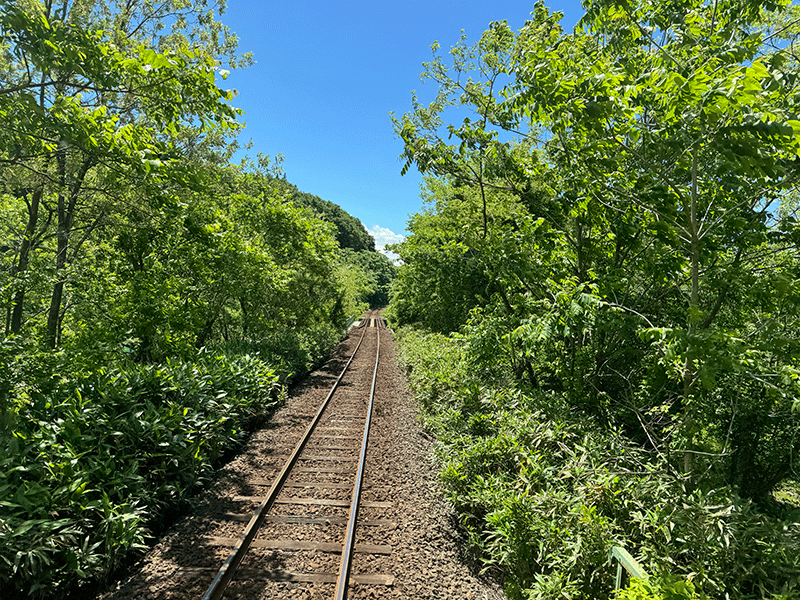 20240604秋田内陸縦貫鉄道車窓