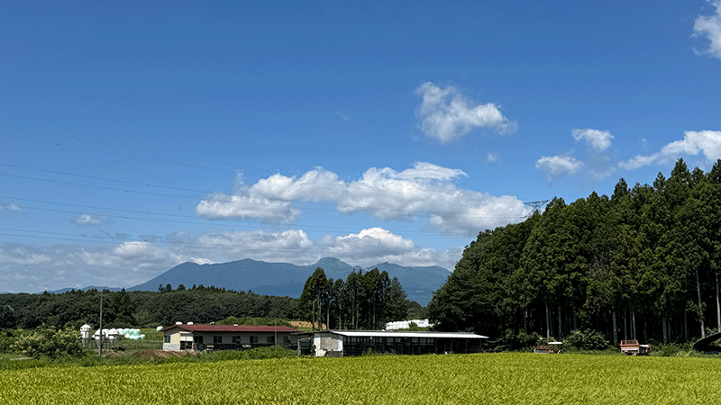 20250830那須は牧畜と稲作の町
