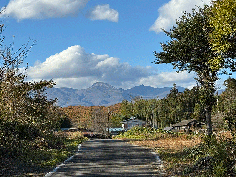 200251115ぽかぽか散歩道