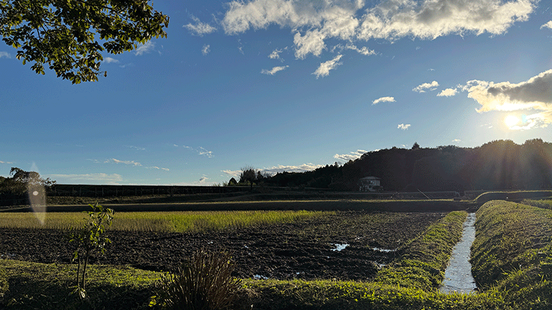 20251101西へいそぐ太陽