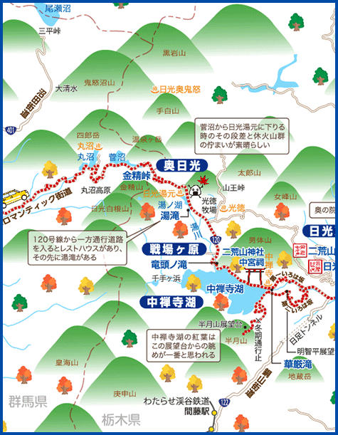 栃木県 日光ドライブ あるく あるけるマップ ニュース 観光あるき地図