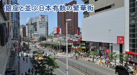 銀座と並ぶ日本有数の繁華街　新宿