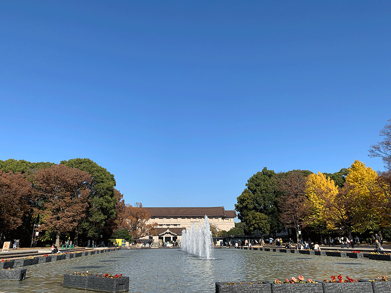20231128噴水池と東京国立博物館