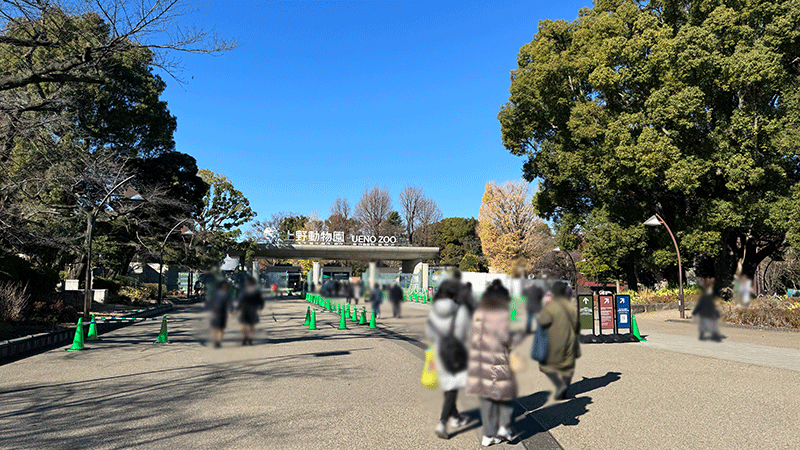 20251218名残りのパンダ見物